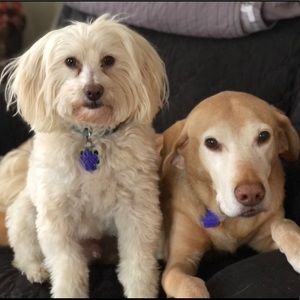 Meet your Posher, Laura